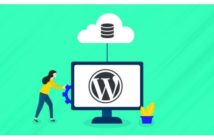 Houston WordPress Developers Can Help You Create An eCommerce Website With WooCommerce Integration