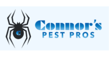 VA Professional Pest Control Services: Remove Rodents & Insects From Your Property In One Day
