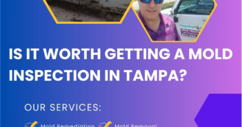 Benefits & Importance of Having A Mold Inspection In Tampa Bay