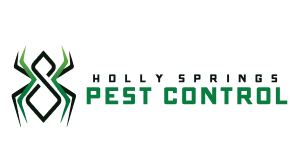 Why Fuquay-Varina Homeowners Need Pest Control Pros To Deal With Mosquitos & Ants This Summer