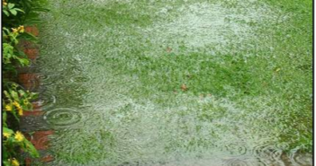 Three Signs That Your Home Is At Risk For Floods: League City Experts Weigh In