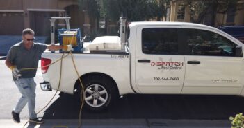 Vegas Heat Got the Bugs Going Crazy? Here’s How to Keep ’Em Out