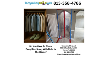 Mold Damage: The #1 Rule for Saving Your Belongings