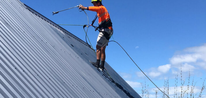 Roof Painting Dunedin: Extend Your Roof’s Life By Years